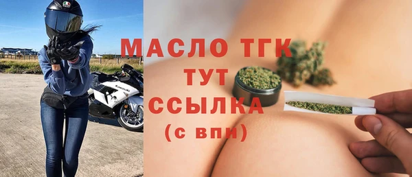 шишки Верея