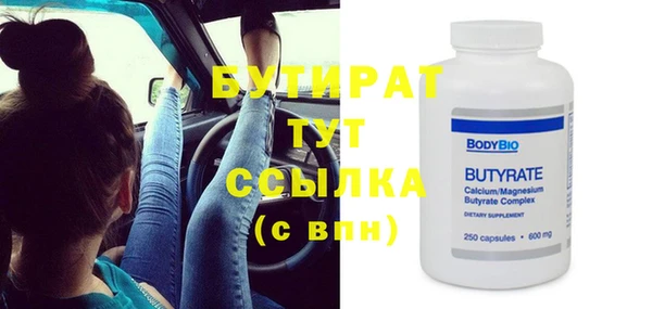 шишки Верея
