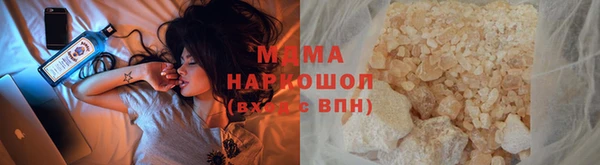 шишки Верея