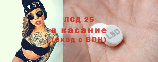 шишки Верея