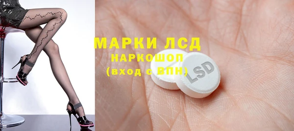 шишки Верея