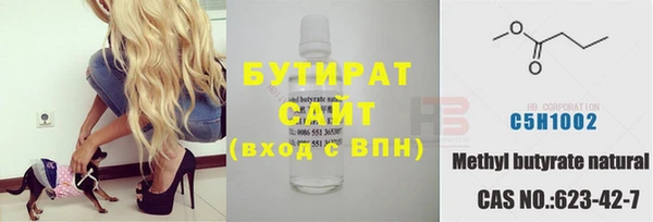 шишки Верея