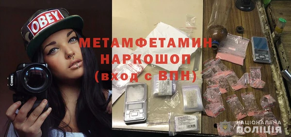 шишки Верея