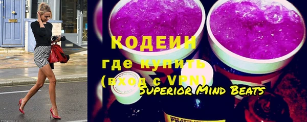шишки Верея