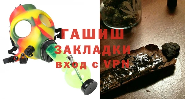 шишки Верея